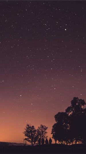 重庆seo排名截图1