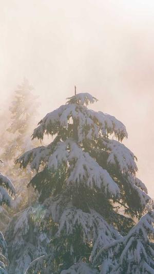 医院网站建设方案截图2