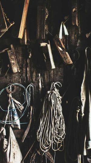 蜘蛛池使用视频讲解截图1