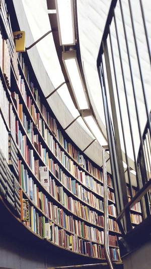 泛目录站群作用截图2