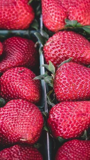 百度蜘蛛池怎么弄截图2