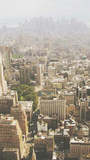 二级目录泛解析截图5