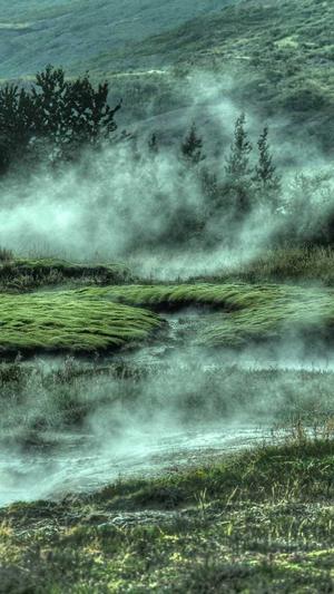 上海seo公司截图2