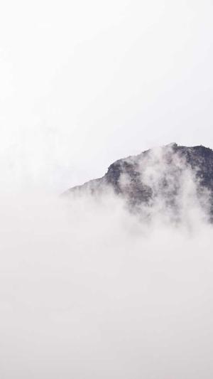 seo培训教程泛目录代做截图1