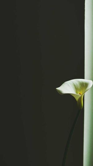 网站建设 北京截图3