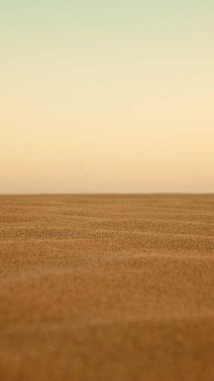 哪个泛目录程序最好截图1