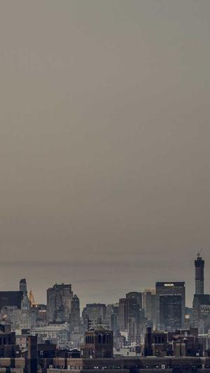 超级蜘蛛池最新版下载截图2