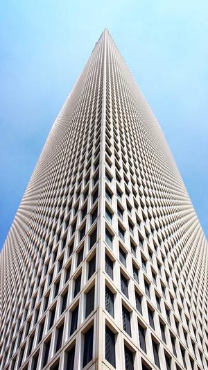 泛目录霸屏站群排名截图1