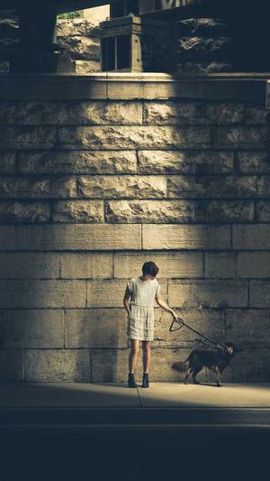 在线观看蜘蛛池截图4